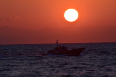 DSC_0497 伊良湖岬H27.2