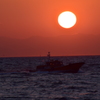 DSC_0497 伊良湖岬H27.2