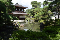 DSC_0379 銀閣寺H26.9