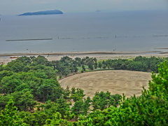 CIMG2669　寛永通寶H26.7