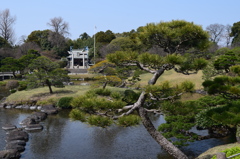 DSC_0836 水前寺成趣園