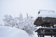 DSC_0422　白川郷H27.2