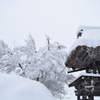 DSC_0422　白川郷H27.2