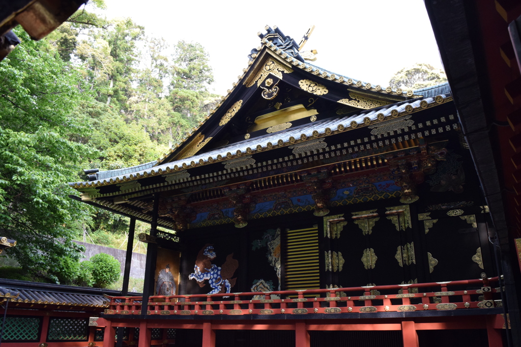 DSC_0503　久能山H26.5