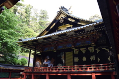 DSC_0503　久能山H26.5