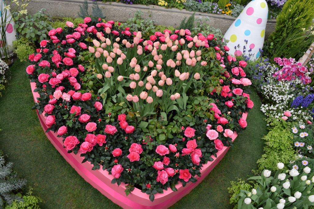 DSC_0055　ﾃﾞﾝﾊﾟｰｸH26.3