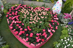 DSC_0055　ﾃﾞﾝﾊﾟｰｸH26.3