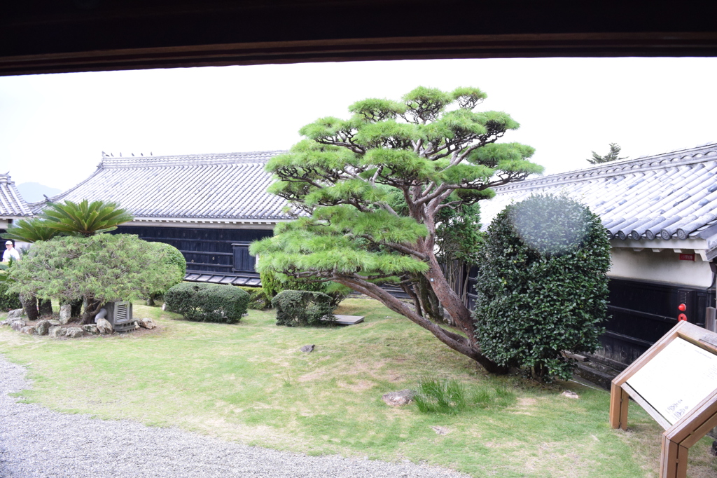 DSC_0369　高知城H26.7