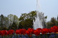 DSC_0402　となみH26.4