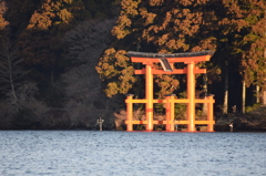 DSC_0058　芦ノ湖H26.3