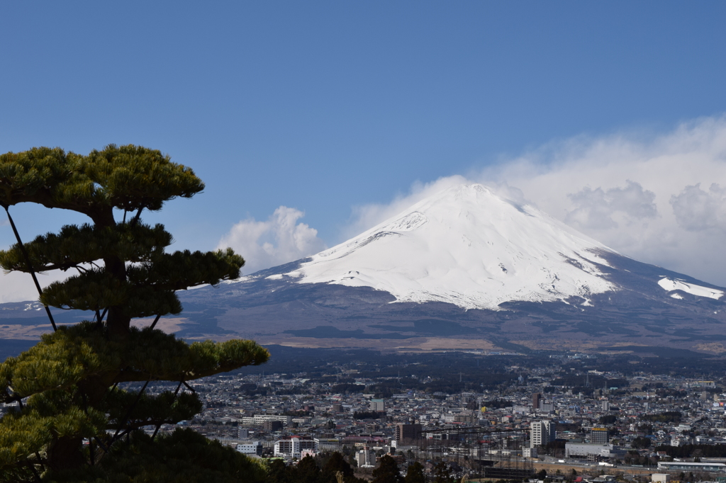 DSC_0129　箱根H26.3