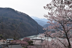 DSC_0349　高遠H26.4