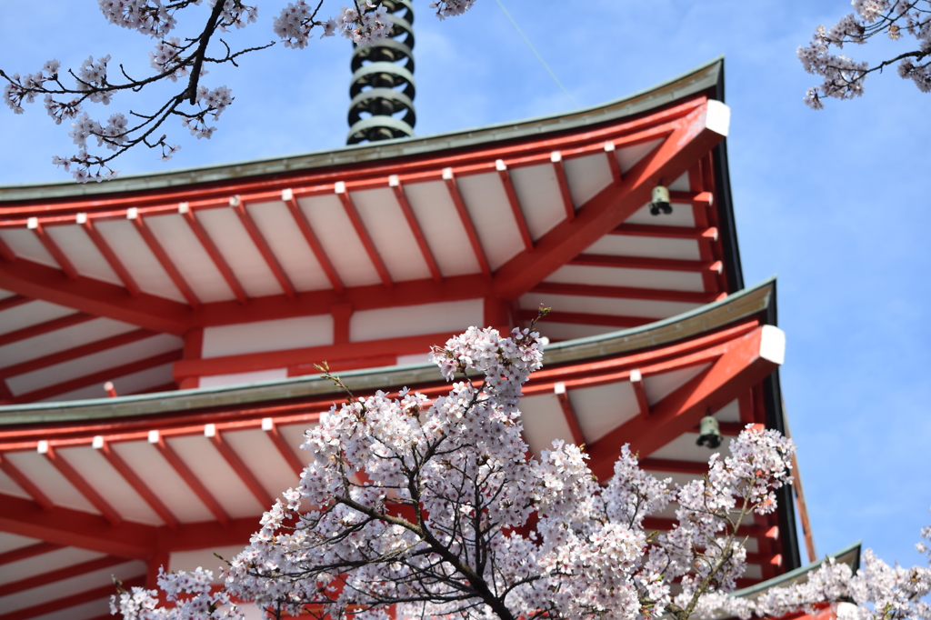 DSC_0472 新倉浅間神社H27.4