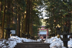 DSC_0229　富士浅間H26.3