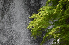 DSC_0439　朝日滝H26.5