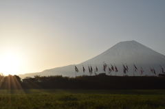 DSC_0332　朝霧高原H26.5