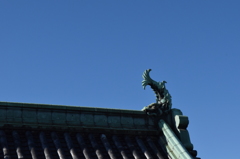 DSC_0457　和歌山城H26.9