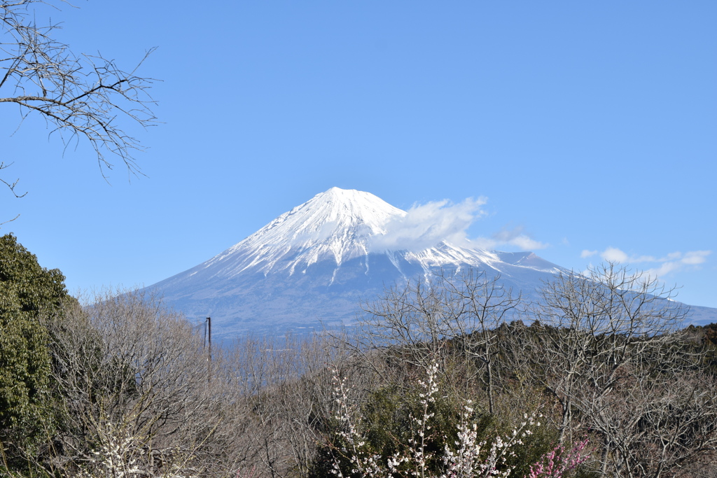 DSC_0031 岩本山公園H29.2