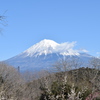 DSC_0031 岩本山公園H29.2