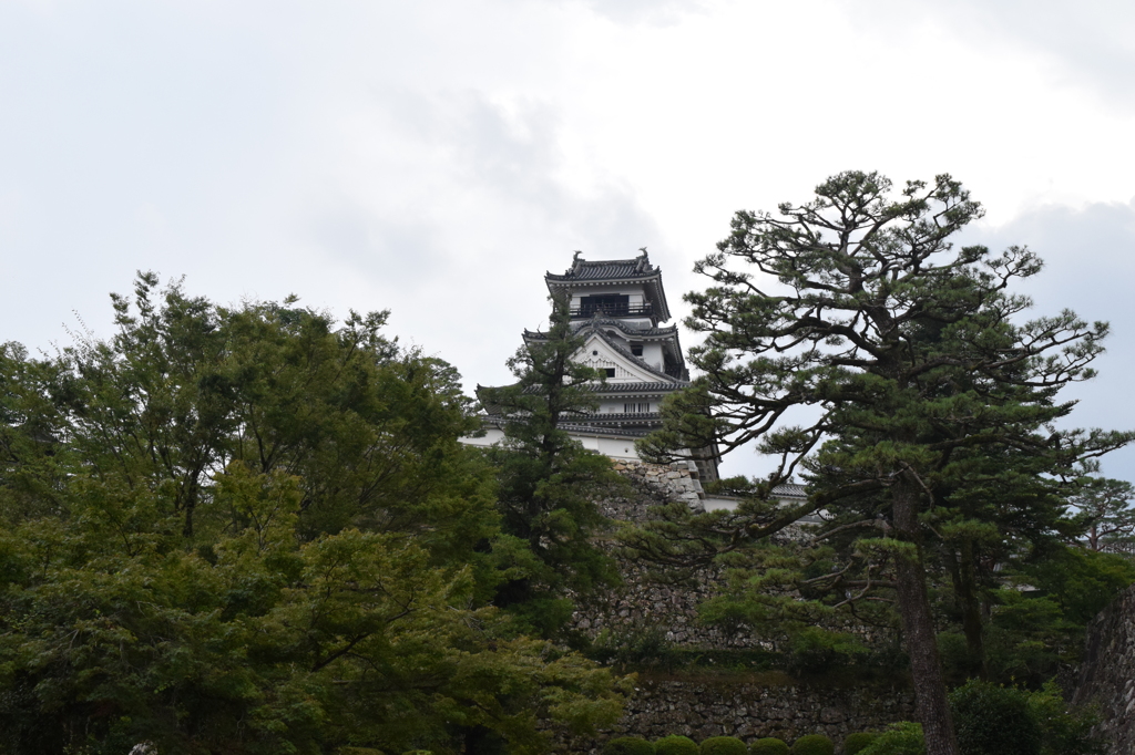 DSC_0363　高知城H26.7