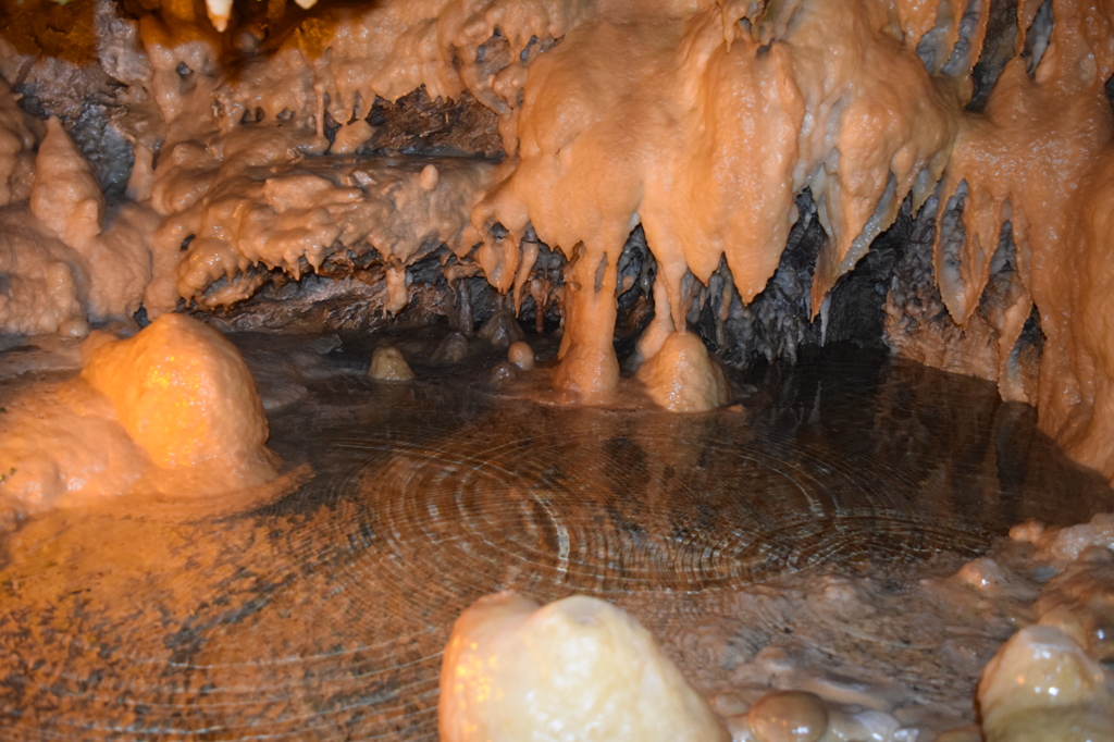 DSC_0868 竜ヶ岩洞H27.5