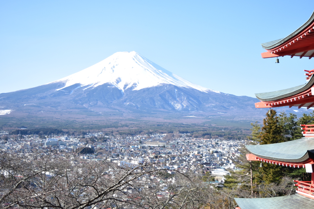 DSC_0241　新倉浅間H26.3