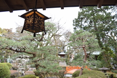 DSC_1123　大井神社H29.2