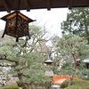DSC_1123　大井神社H29.2