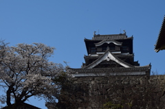 DSC_0862　熊本城H27.3