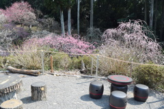 DSC_0019　龍尾神社H26.3