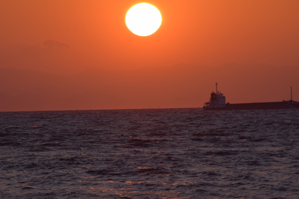 DSC_0492 伊良湖岬H27.2