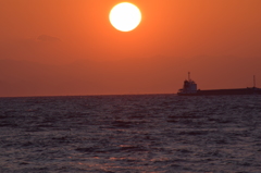 DSC_0492 伊良湖岬H27.2