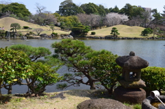 DSC_0822 水前寺成趣園
