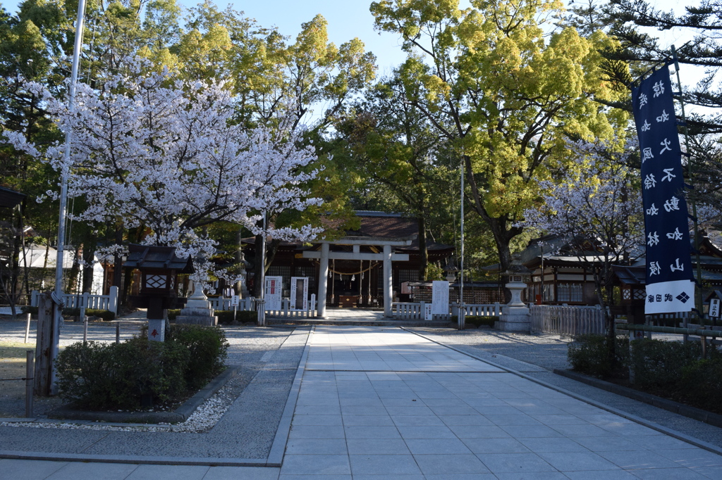 DSC_0370　武田神社H26.4