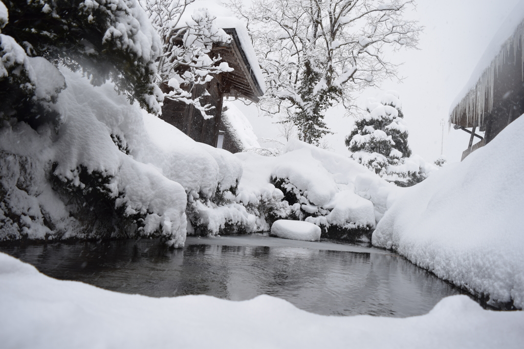 DSC_0443　白川郷H27.2
