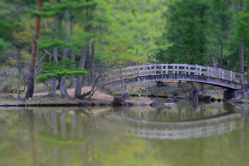 DSC_1461 美女高原H28.4