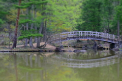 DSC_1461 美女高原H28.4