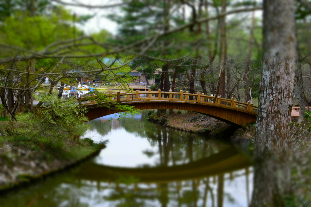 DSC_1432 美女高原H28.4