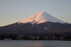 DSC_0193 河口湖H26.3