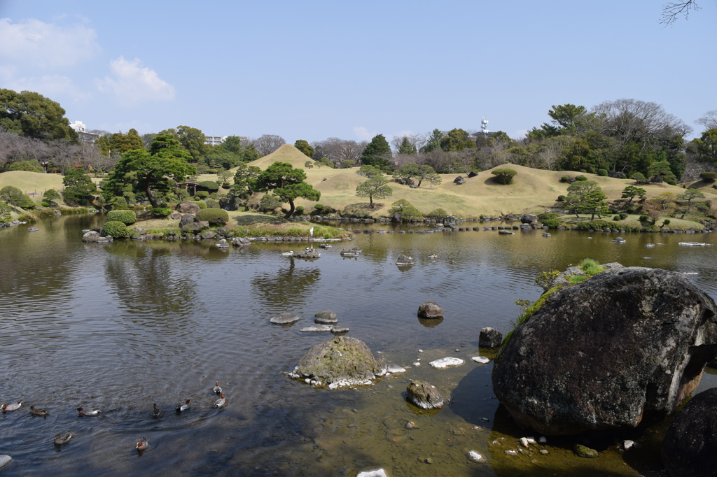 DSC_0819 水前寺成趣園