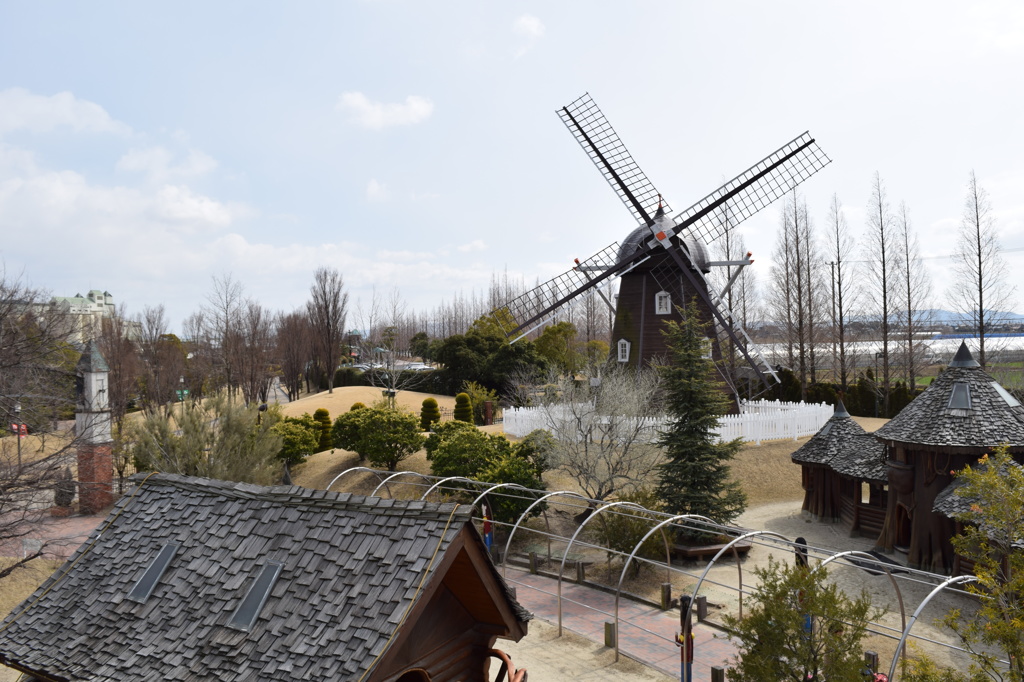 DSC_0003　ﾃﾞﾝﾊﾟｰｸH26.3