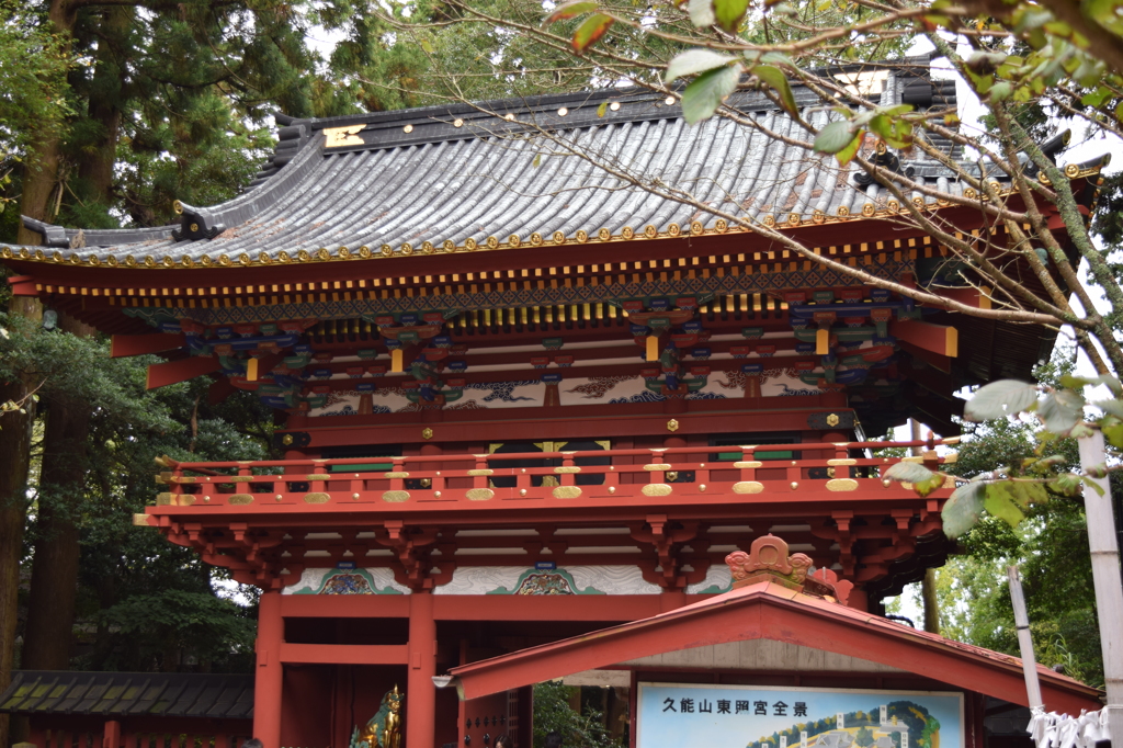 DSC_0356 久能山H26.11