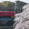 DSC_1328-2 岡崎公園H30.3