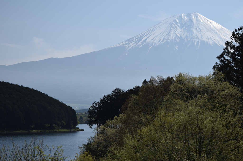 DSC_0399 田貫湖H26.5