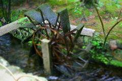 DSC_1480　岡山後楽園H28.9