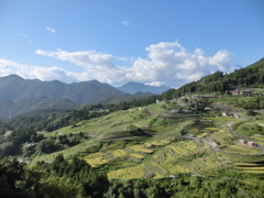 CIMG3497　丸山千枚田H26.9
