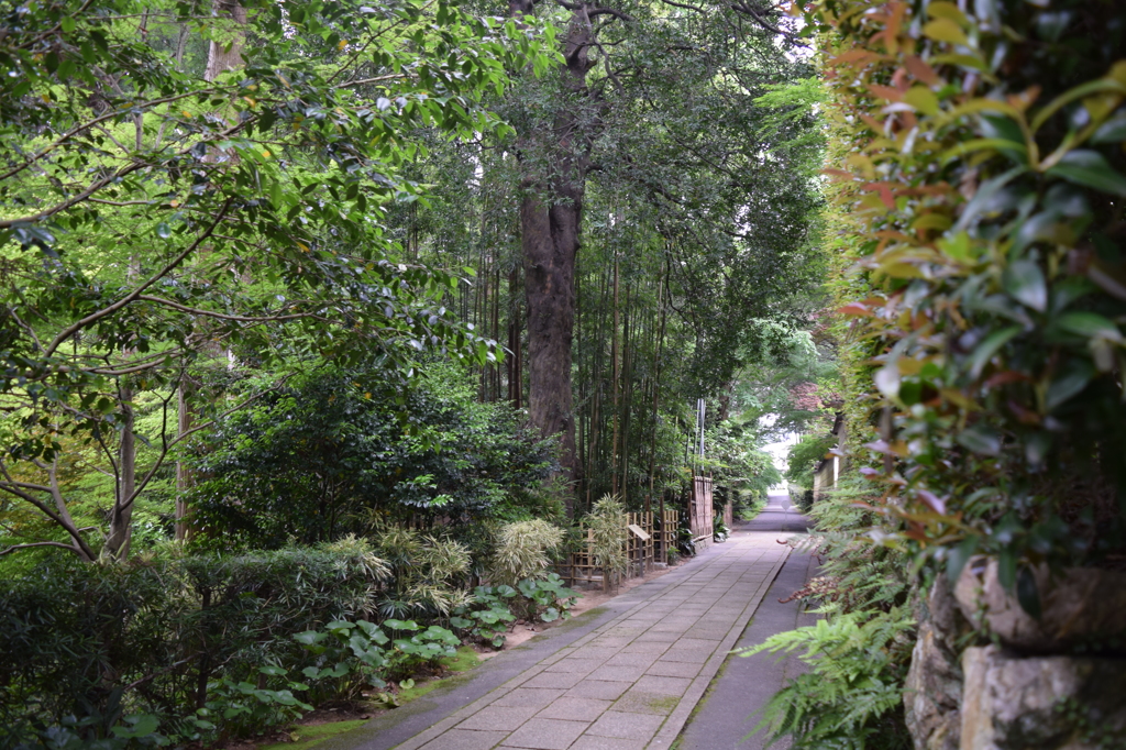 DSC_0858 龍潭寺H27.5