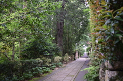 DSC_0858 龍潭寺H27.5