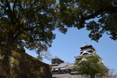 DSC_0874　熊本城H27.3