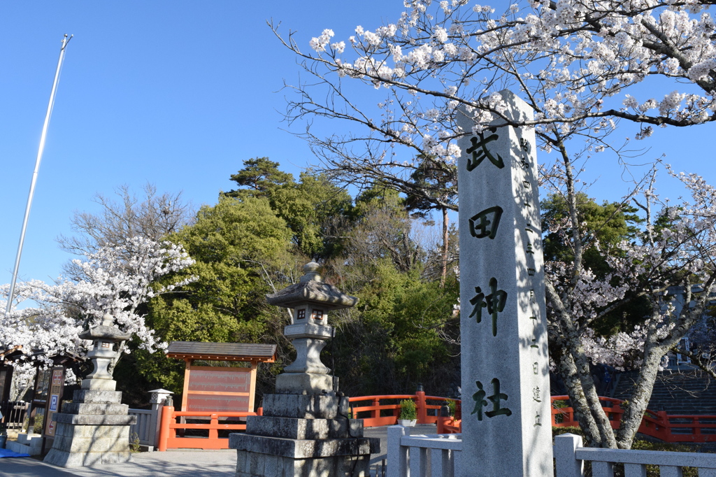 DSC_0362　武田神社H26.4